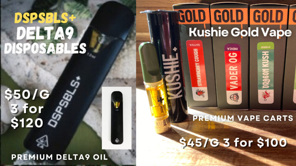 Weed Delivery by Wee-delivery.com Disposable Vape Carts Delta9+ Oil